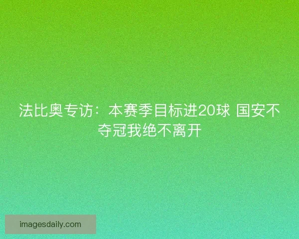 法比奥专访：本赛季目标进20球 国安不夺冠我绝不离开