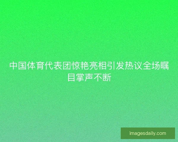 中国体育代表团惊艳亮相引发热议全场瞩目掌声不断
