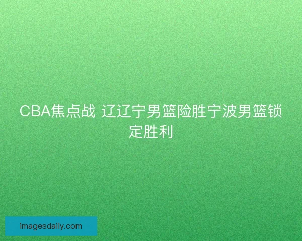 CBA焦点战 辽辽宁男篮险胜宁波男篮锁定胜利
