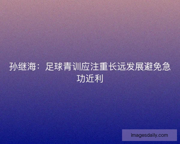 孙继海：足球青训应注重长远发展避免急功近利