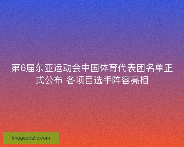 第6届东亚运动会中国体育代表团名单正式公布 各项目选手阵容亮相